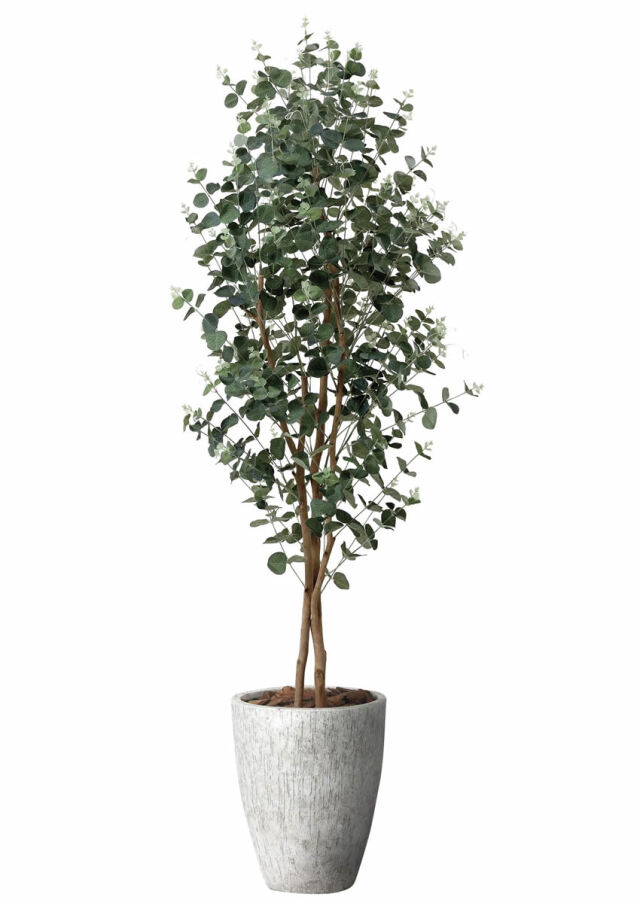 光触媒 光の楽園 アルデシア(万両) 高さ 1.6m 【インテリア フェイク