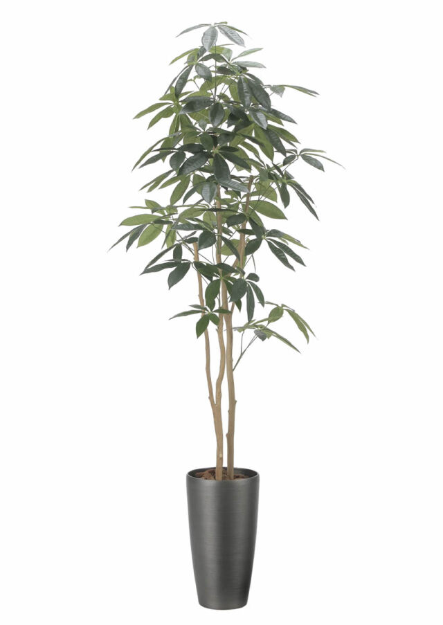 光触媒 光の楽園 ベンジャミン 高さ 1.6m 【インテリア フェイク