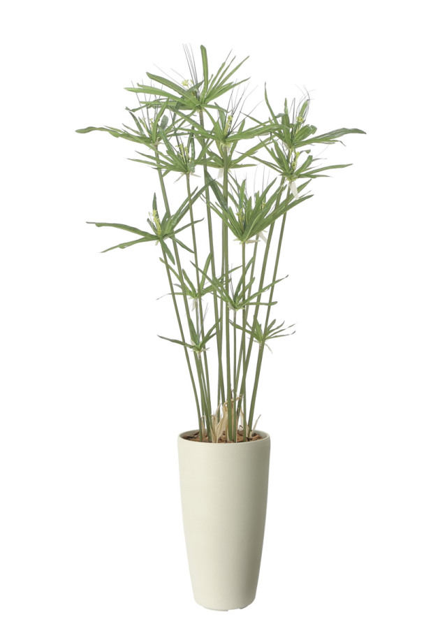 グリーンスシリーズ タイリッシュシリーズ