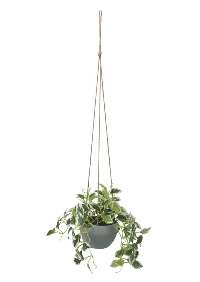 光触媒 光の楽園 壁掛けウッドボックス【インテリアグリーン 人工観葉