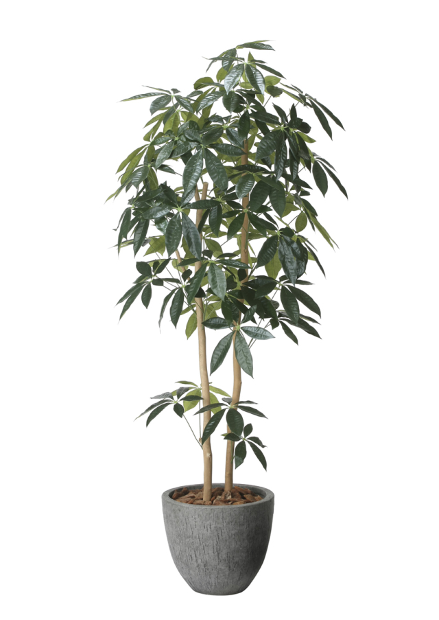 光触媒 光の楽園 アーバンゴールデンリーフ1.8m【インテリア フェイク