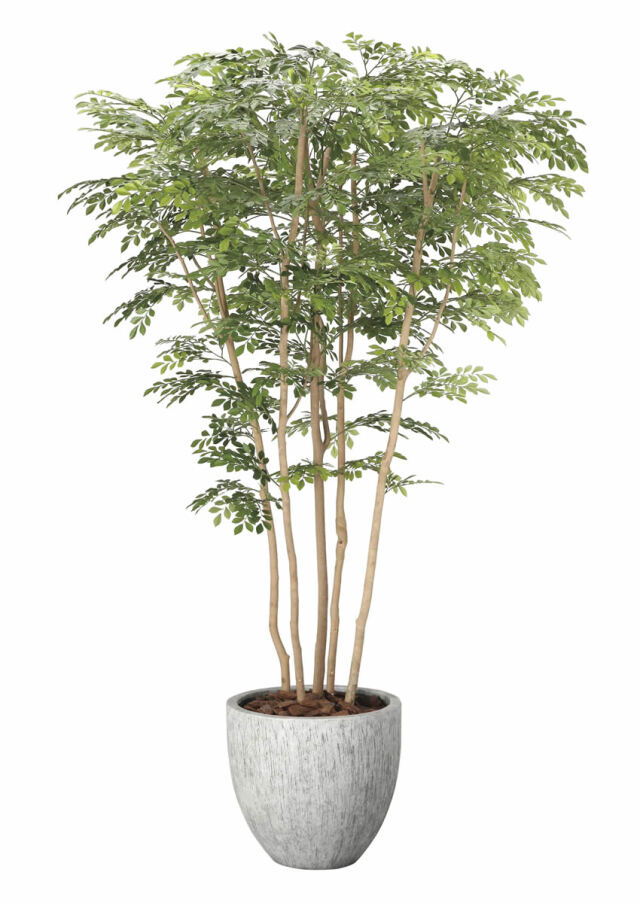 光触媒 光の楽園 ナチュラルトネリコミックス2.3（組立式