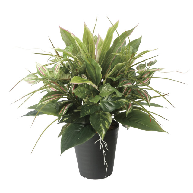 光触媒 光の楽園 フレッシュポトスM【インテリア 人工観葉植物