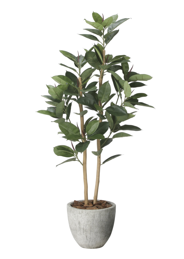 光触媒 光の楽園 フィカスツリー1.8m【インテリア フェイクグリーン