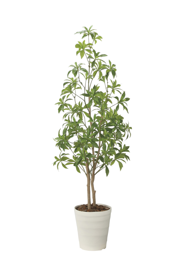 光触媒 光の楽園 ナチュラルユーカリツリー1.5【インテリア フェイク