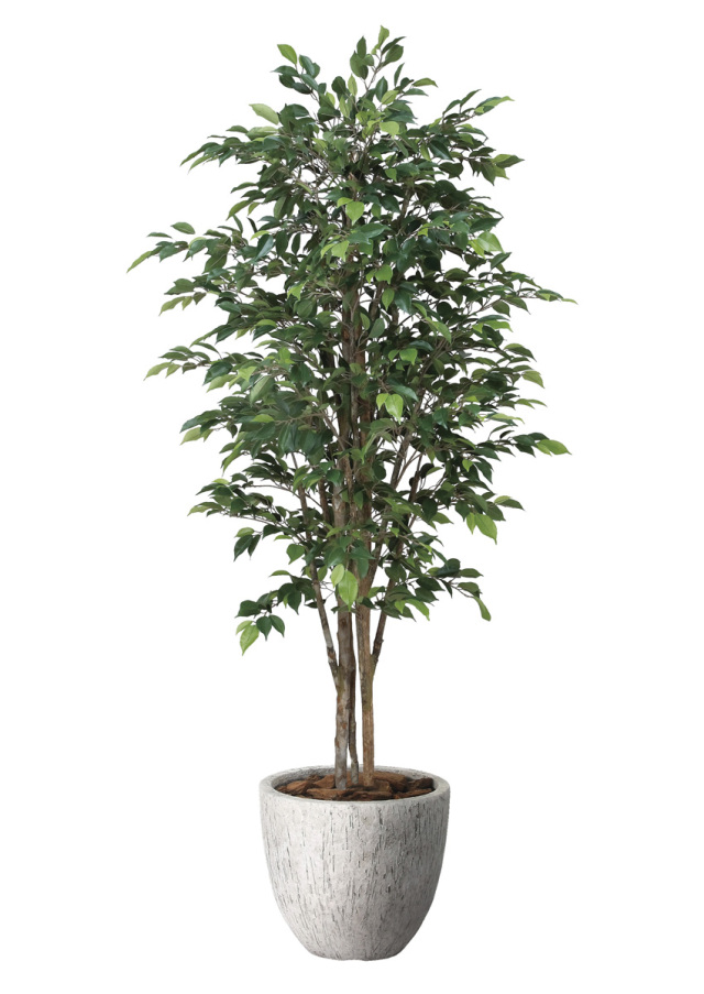 光触媒 光の楽園 ベンジャミンダブル 1.6m【インテリア フェイク