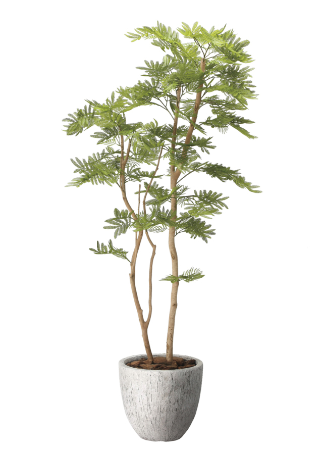 光触媒 光の楽園 ツートントネリコ1.8【インテリア フェイクグリーン