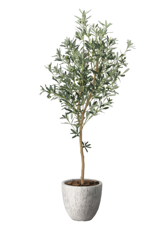 光触媒 光の楽園 スリムフィカストライアングル1.6m【インテリア