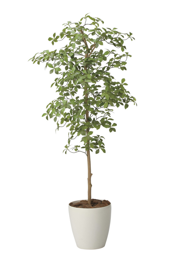 光触媒 光の楽園 ゴールデンリーフ 1.6m【インテリア フェイクグリーン