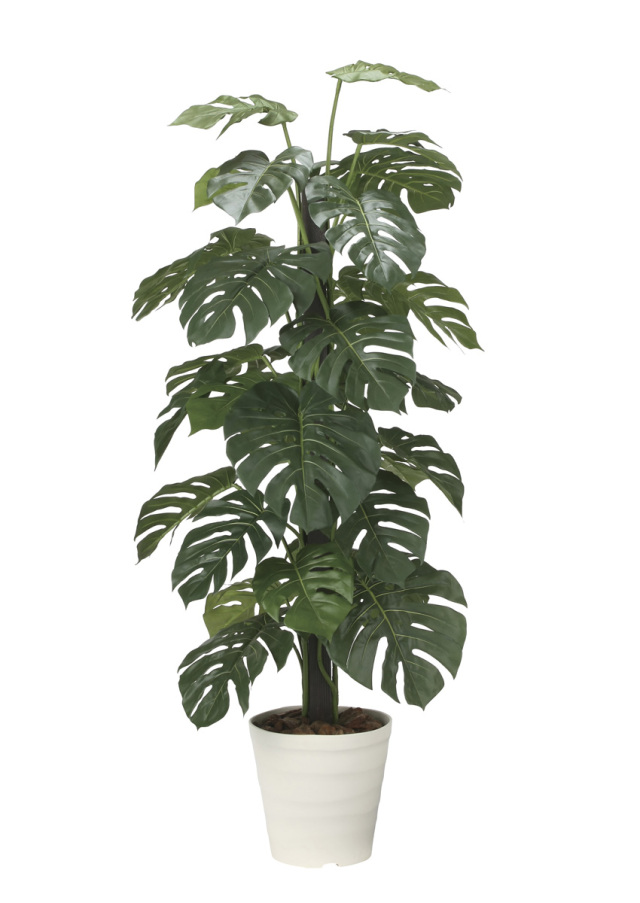 光触媒 光の楽園 スリムフィカストライアングル1.6m【インテリア