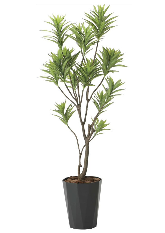 造花と観葉植物の専門店 光の楽園