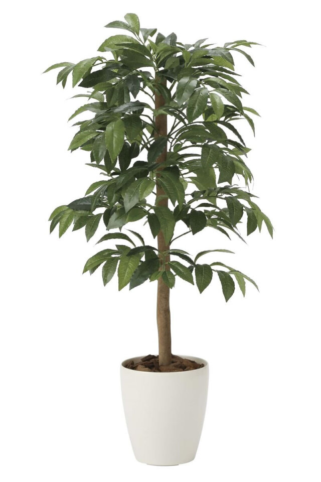 光触媒 光の楽園 ウッドボックストネリコミックス1.8【インテリア