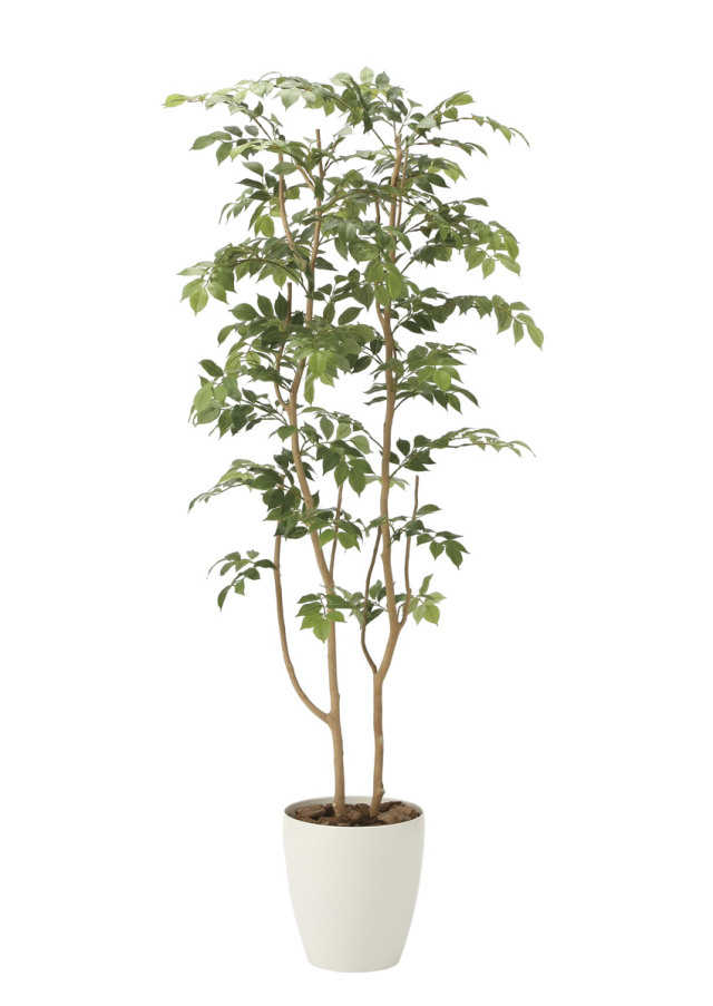 光触媒 光の楽園 フィカスツリー1.8m【インテリア フェイクグリーン