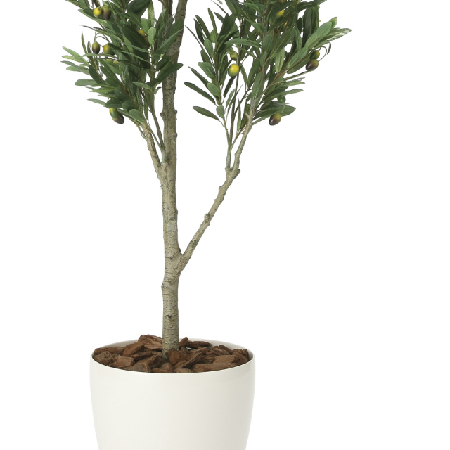 光触媒 光の楽園 オリーブツリー 高さ 1.65m 【インテリア フェイク