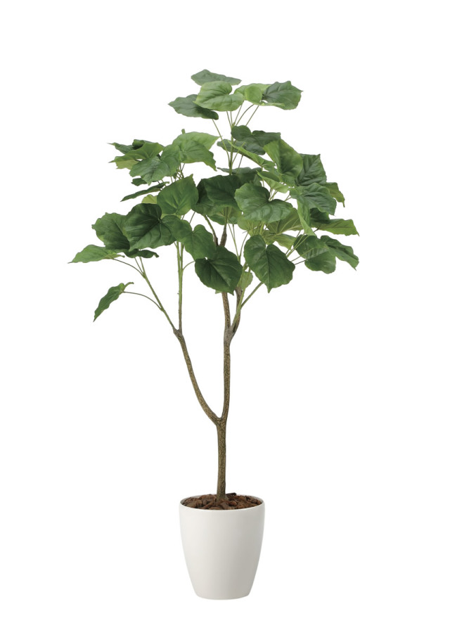 光触媒 光の楽園 ナチュラルトラベラーズパーム1.6【インテリア