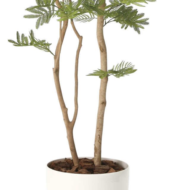 光触媒 光の楽園 ねむの木 高さ 1.6m 【インテリア フェイクグリーン