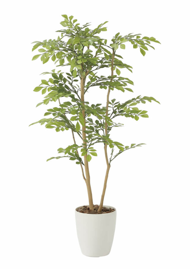 90cm以上 造花と観葉植物の専門店 光の楽園