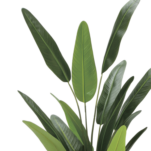 光触媒 光の楽園 フレッシュトラベラーズパーム1.55m【インテリア