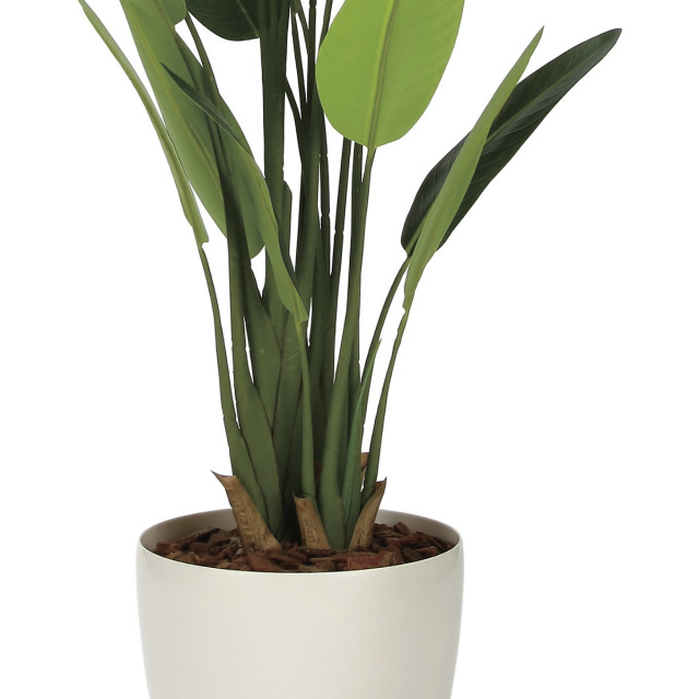 光触媒 光の楽園 フレッシュトラベラーズパーム1.55m【インテリア