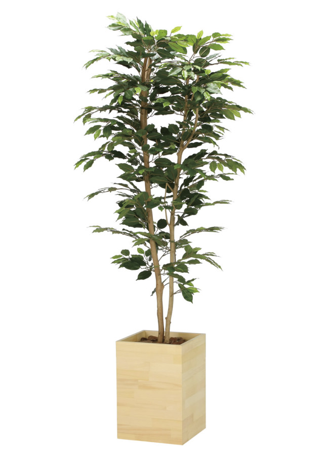 光触媒 光の楽園マウンテンアッシュ 高さ 1.6m【インテリア フェイク