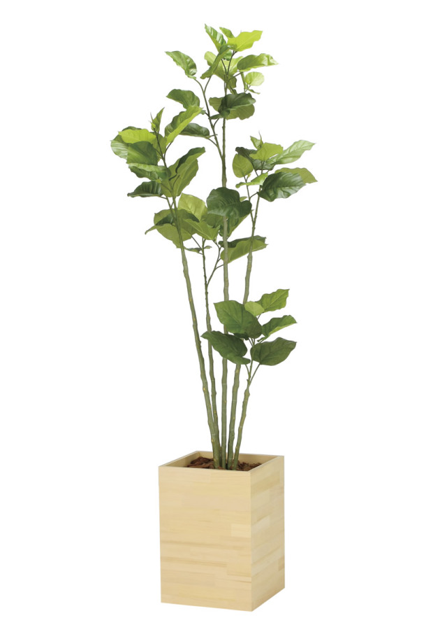 光触媒 光の楽園 ベンジャミン 高さ 1.6m【インテリア フェイク