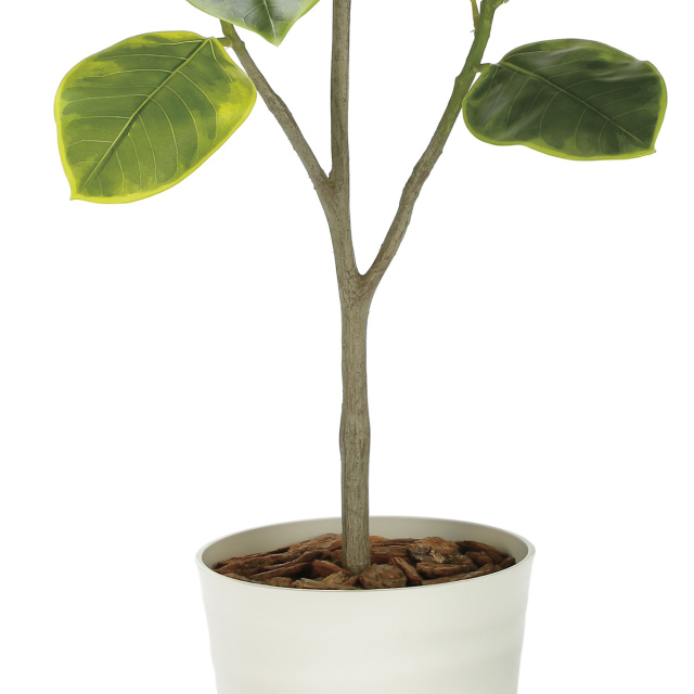 光触媒 光の楽園 フレッシュアルテシマ1.35m【インテリア フェイク