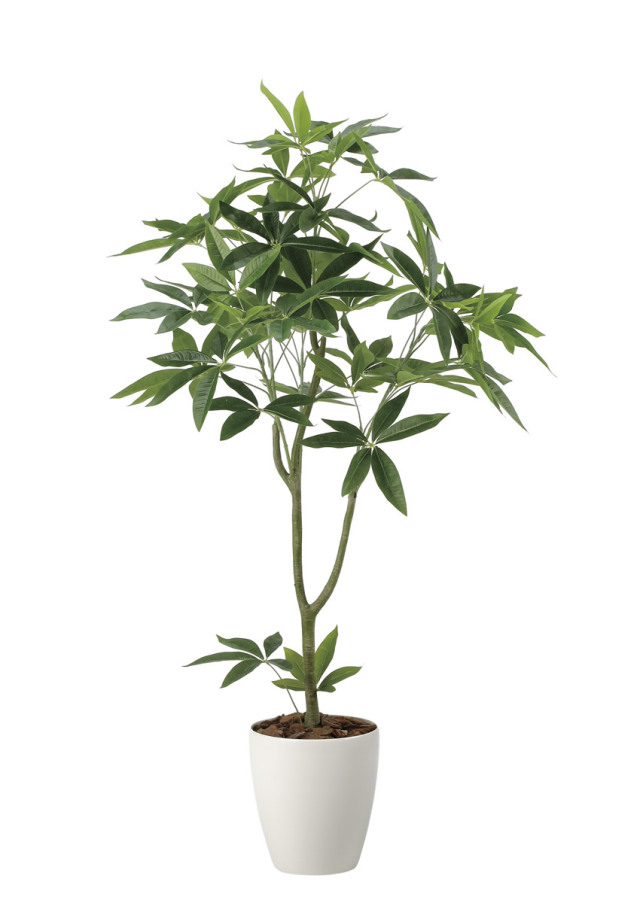 光触媒 光の楽園 シェフレラ 高さ 1.15m 【インテリア フェイク