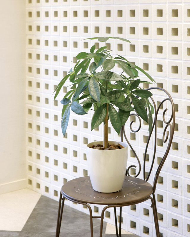 光触媒 光の楽園 パキラリーフツリー72【インテリア フェイクグリーン