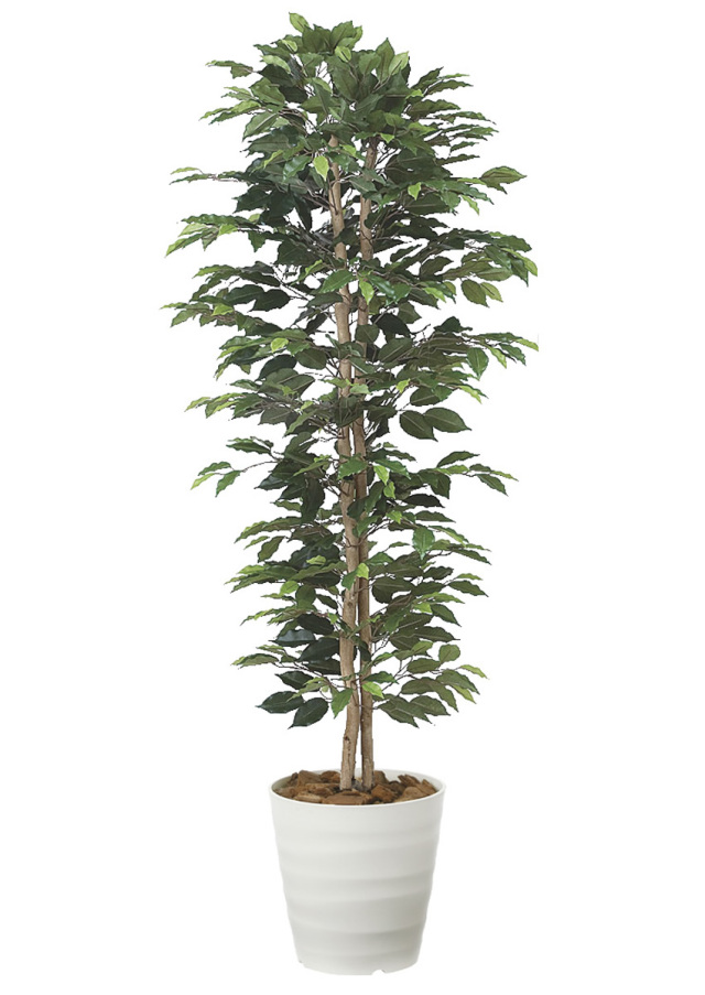 光触媒 光の楽園 アーバンゴールデンリーフ1.8m【インテリア フェイク