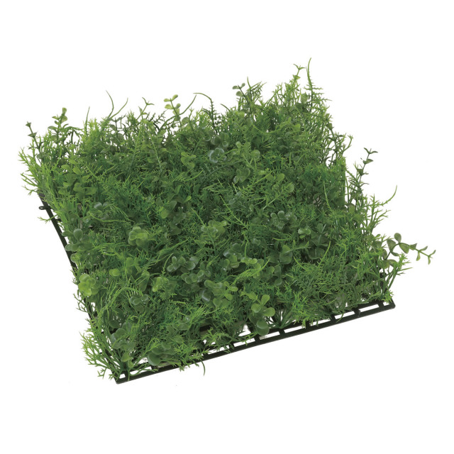 光触媒 光の楽園 壁掛けウッドボックス【インテリアグリーン 人工観葉