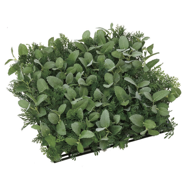 光触媒 光の楽園 壁掛けウッドボックス【インテリアグリーン 人工観葉