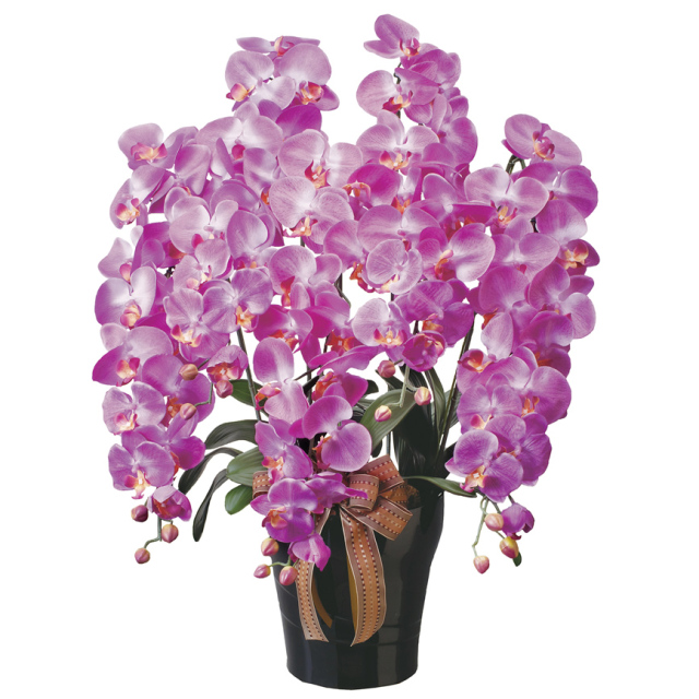 60cm以上 造花と観葉植物の専門店 光の楽園