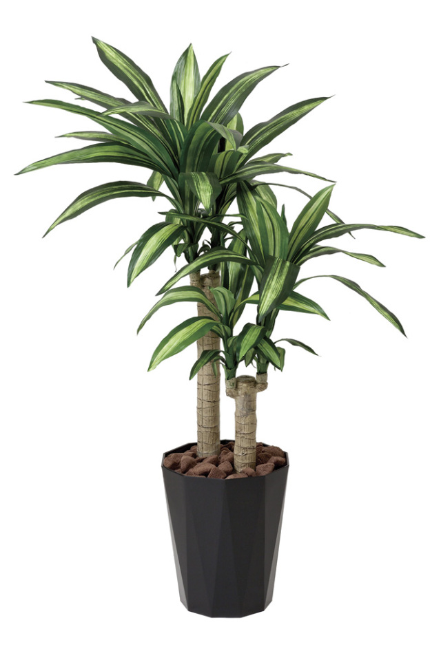 110cm以上 造花と観葉植物の専門店 光の楽園