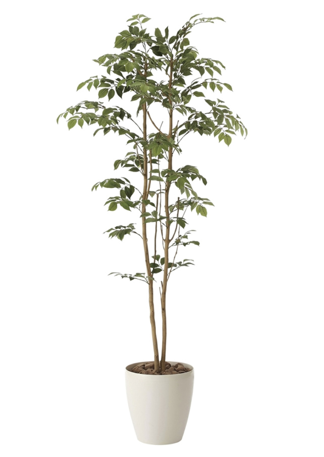 光触媒 光の楽園マウンテンアッシュ 高さ 1.6m【インテリア フェイク