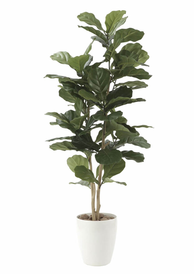 光触媒 光の楽園 アムステラバーキング 1.2m【インテリア フェイク