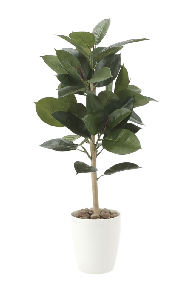 光触媒 光の楽園 幸福ノ木S【インテリア フェイクグリーン 人工観葉