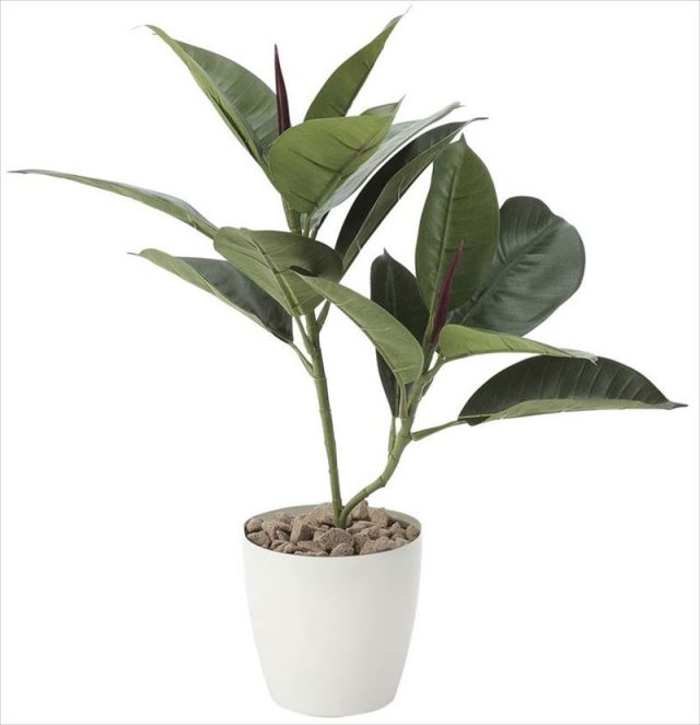 光触媒 光の楽園 ゴムの木 【インテリア フェイクグリーン 人工観葉