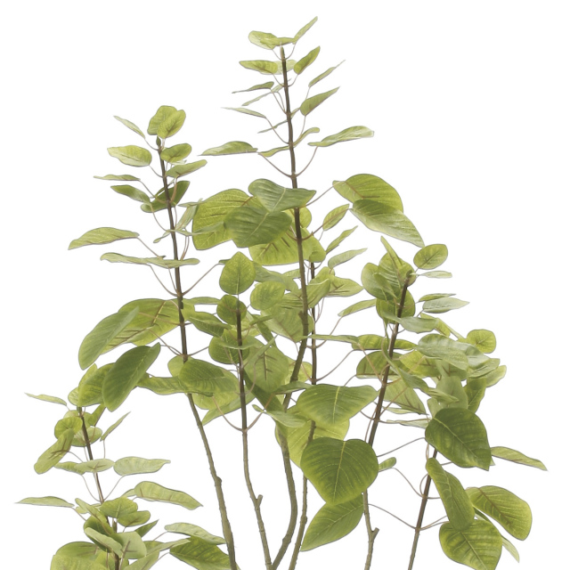 光触媒　人工観葉植物　フェイクグリーン　フィカスブランチツリー1.7 2017新作>光触媒 光の楽園フィカスブランチツリー1.3m【インテリア