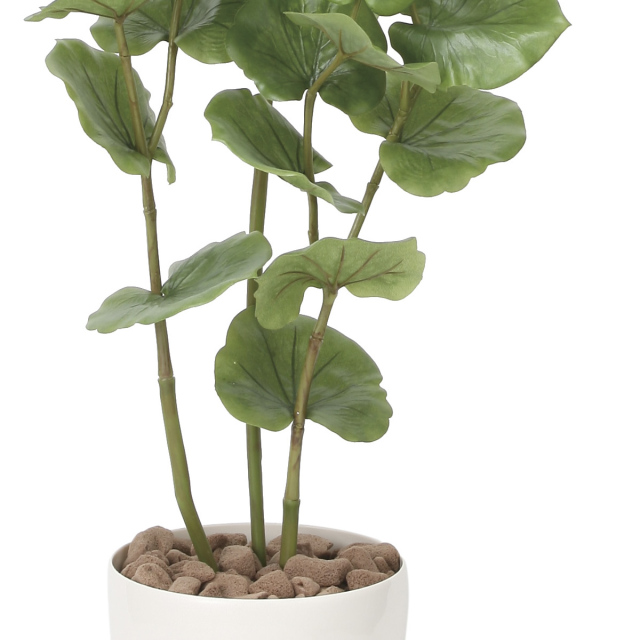 光触媒 光の楽園 シーグレープ1.2m【インテリア フェイクグリーン 人工