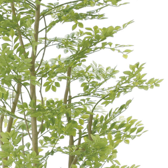 光触媒 光の楽園 アーバンゴールデンリーフ1.8m【インテリア フェイク