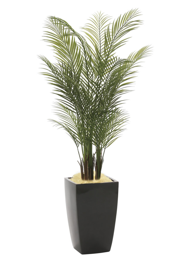 光触媒 光の楽園 ベンジャミンリアナ 1.8m【インテリア フェイク