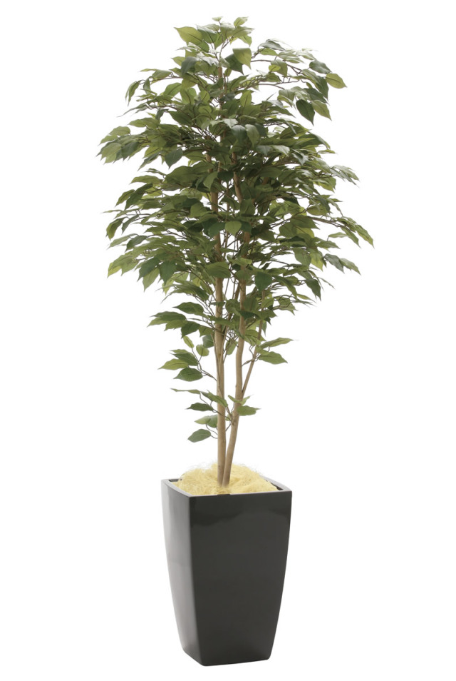 光触媒 光の楽園 スリムパキラ1.8m【インテリア フェイクグリーン 人工