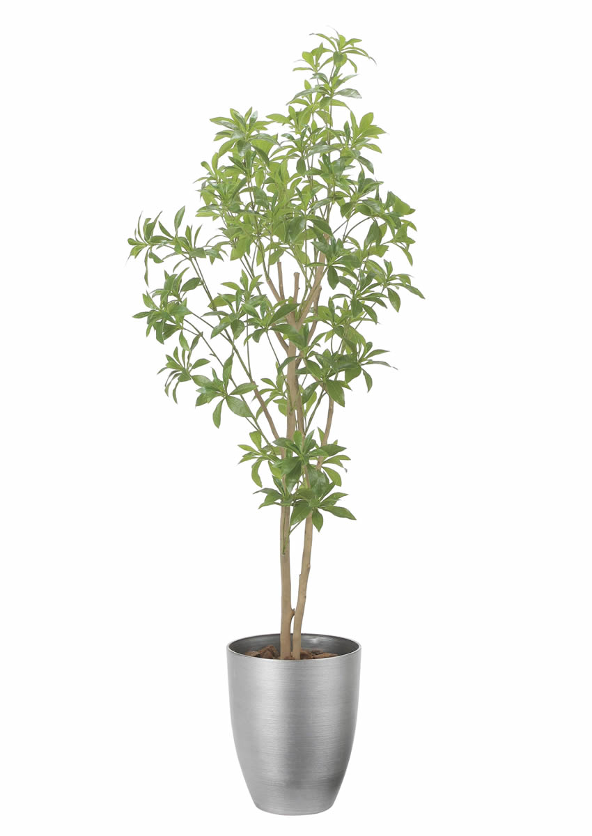 光触媒 光の楽園 インテリアフレッシュアセビ1.7m【インテリア