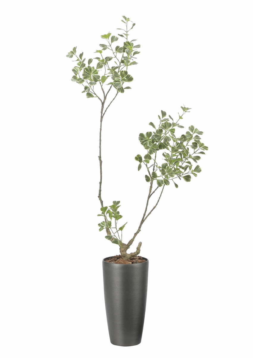 光触媒 光の楽園 スリムフィカストライアングル1.6m【インテリア