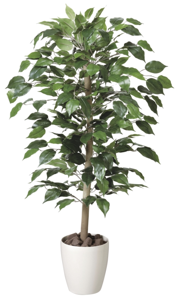 光触媒 光の楽園ベンジャミン 1.0m【インテリア フェイクグリーン 人工