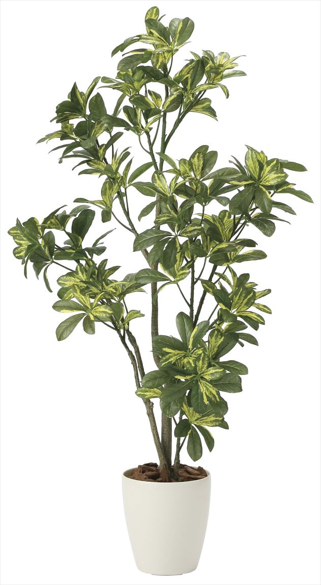 光触媒 光の楽園 シェフレラ 高さ 1.15m 【インテリア フェイク