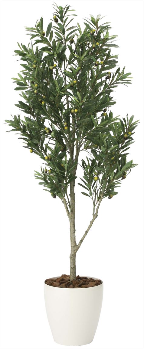 光触媒 光の楽園 オリーブツリー 高さ 1.65m 【インテリア フェイク