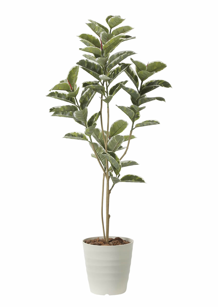 光触媒 光の楽園 アルテシマ 1.6m【インテリア フェイクグリーン 人工