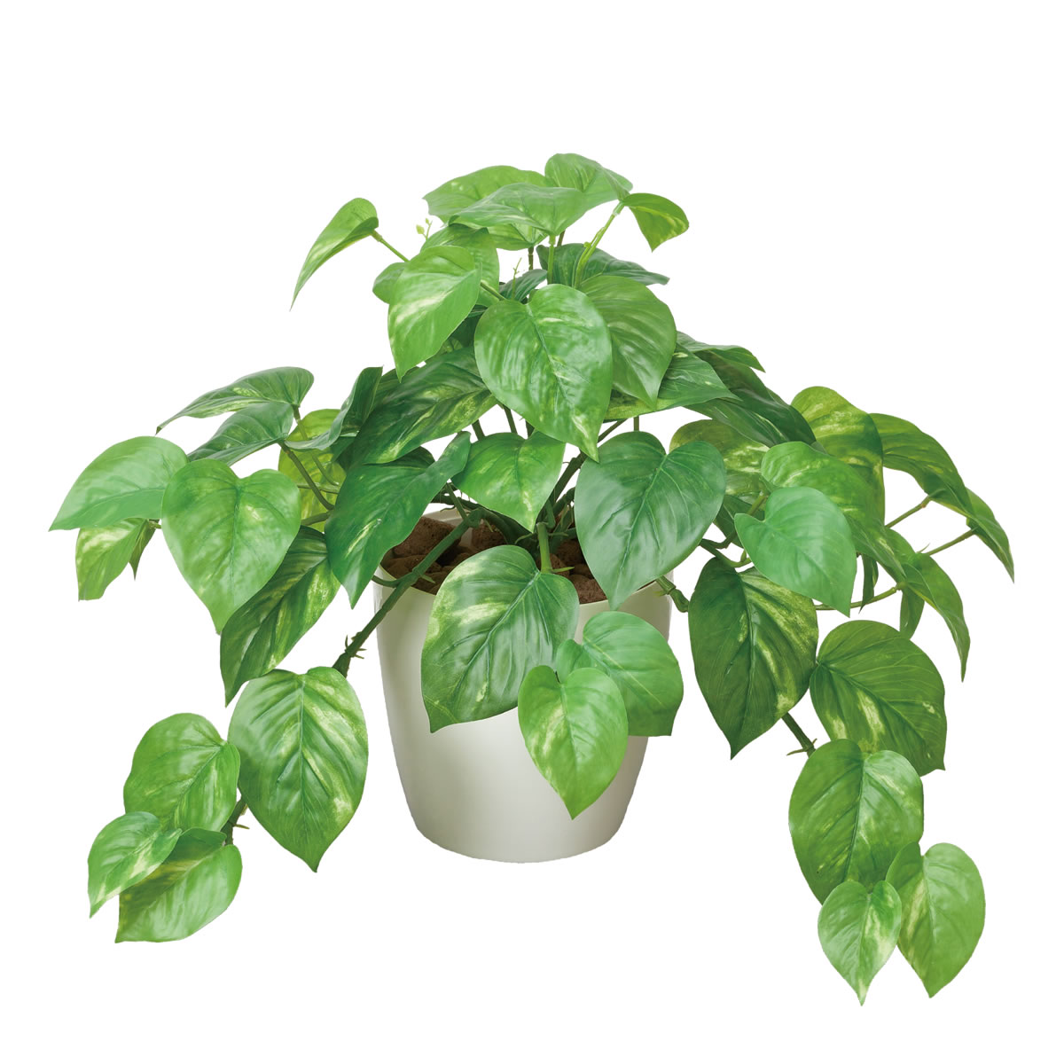 光触媒 光の楽園 フレッシュポトスM【インテリア 人工観葉植物