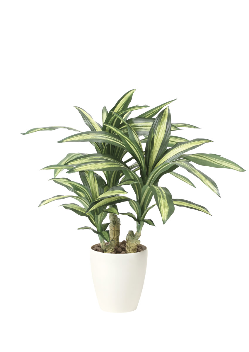 光触媒 光の楽園 幸福ノ木S【インテリア フェイクグリーン 人工観葉